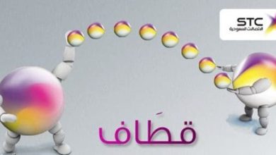 كيف استفيد من نقاط قطاف